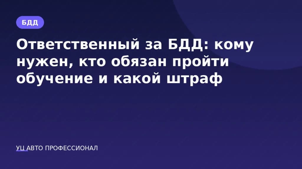 Ответственный за БДД: кому нужен, кто обязан пройти обучение и какой штраф